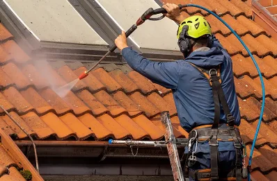 Démoussage et hydrofuge de toiture à Sardan